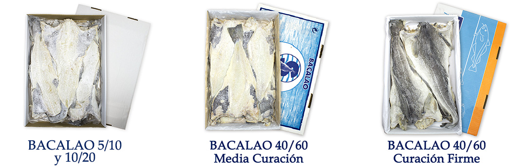 bacalao